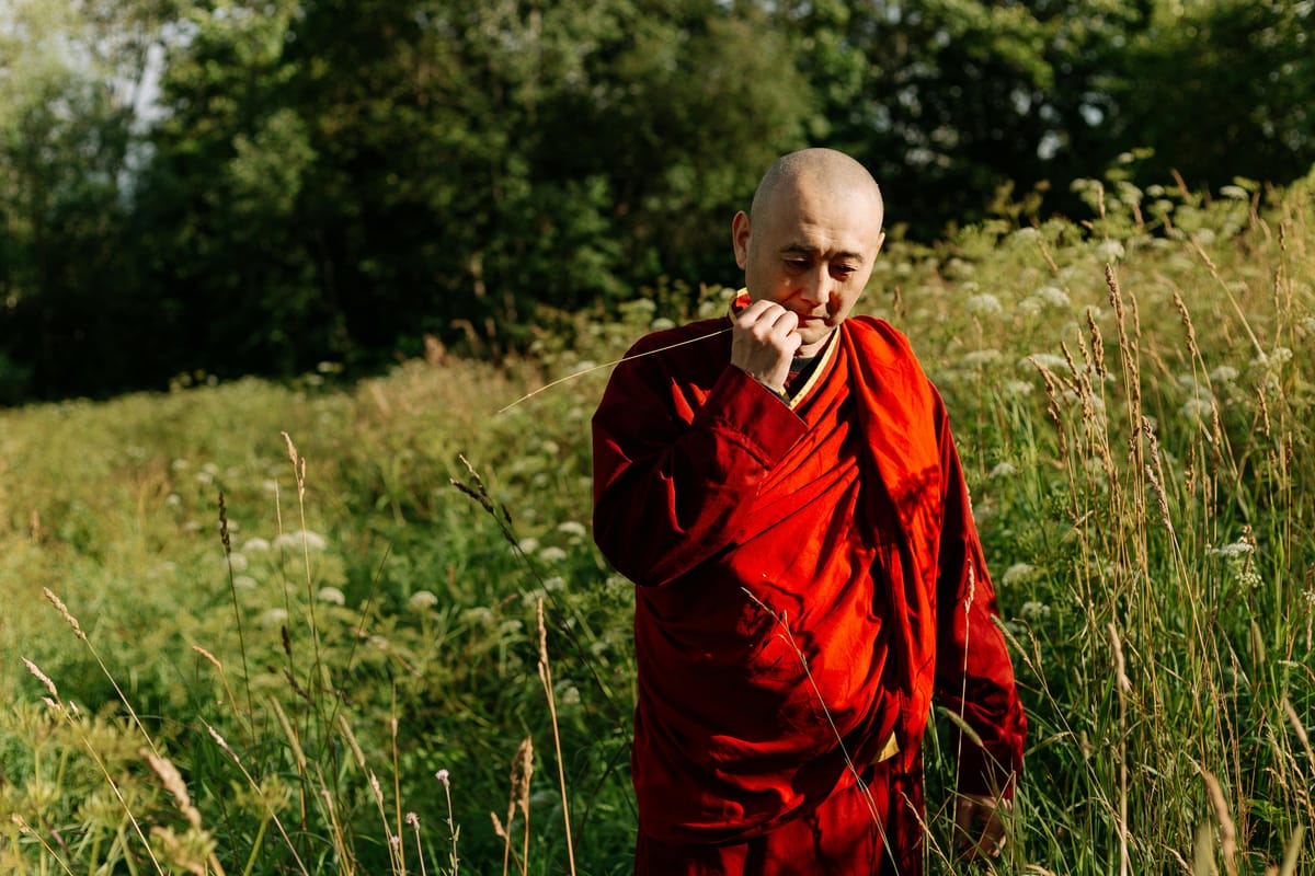 El libro tibetano de la vida y la muerte: 20 años de sabiduría intemporal