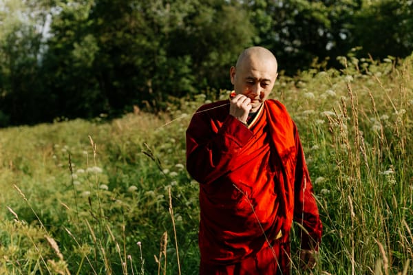 El libro tibetano de la vida y la muerte: 20 años de sabiduría intemporal